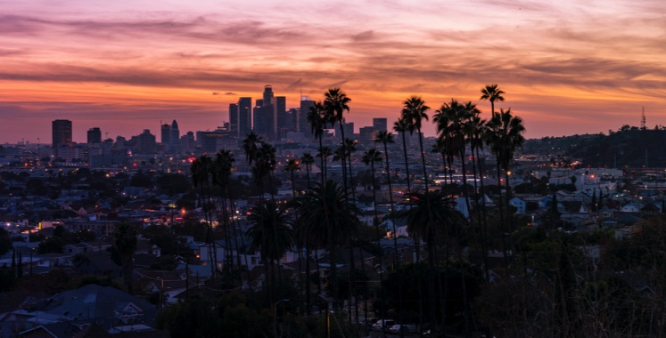 sunset over california skyscrapers with palm trees