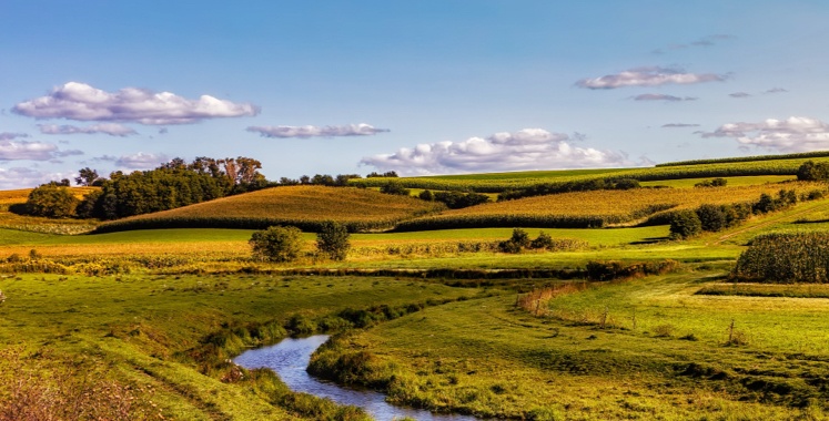 green fields with a river running through and blue skies in Wisconsin