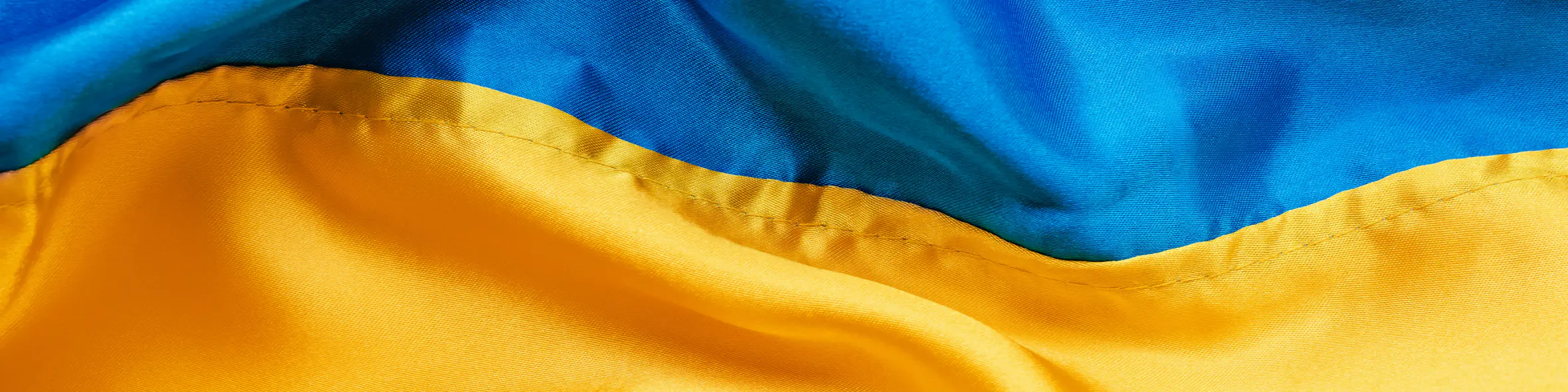 International education initiatives for Ukraine