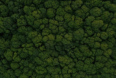 A forest from the sky of densely packed green trees