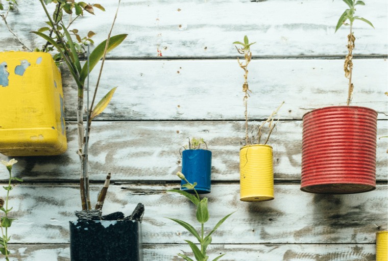 Recyled plant pots from tins and plastic bottles hung on a wall