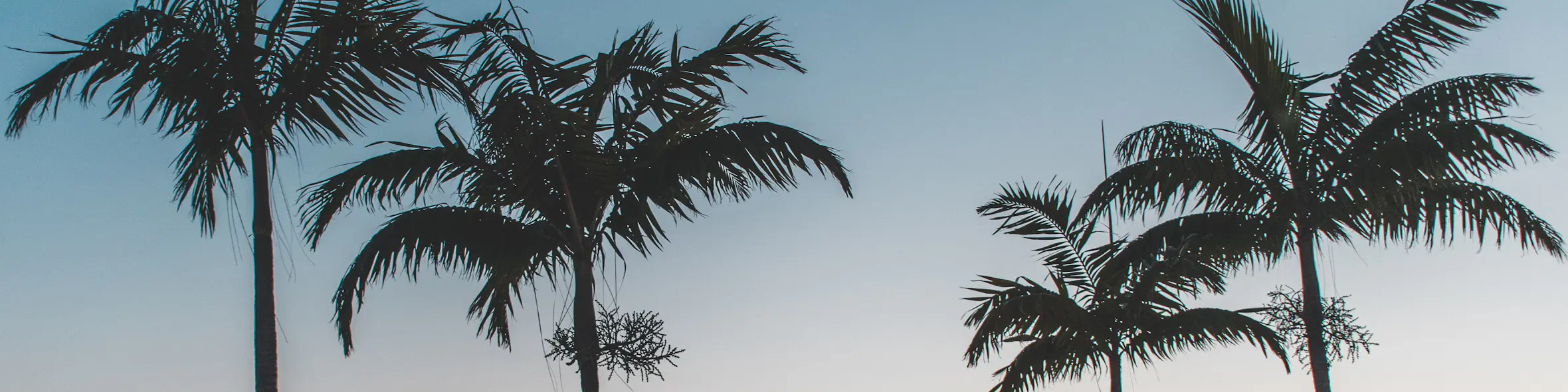 Are you prepared for the overseas student decline in Florida in 2021?