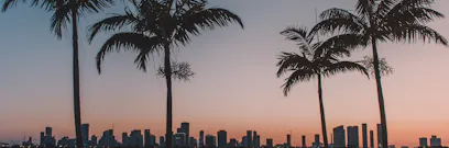 Are you prepared for the overseas student decline in Florida in 2021?