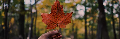 How to apply for a Canada student visa
