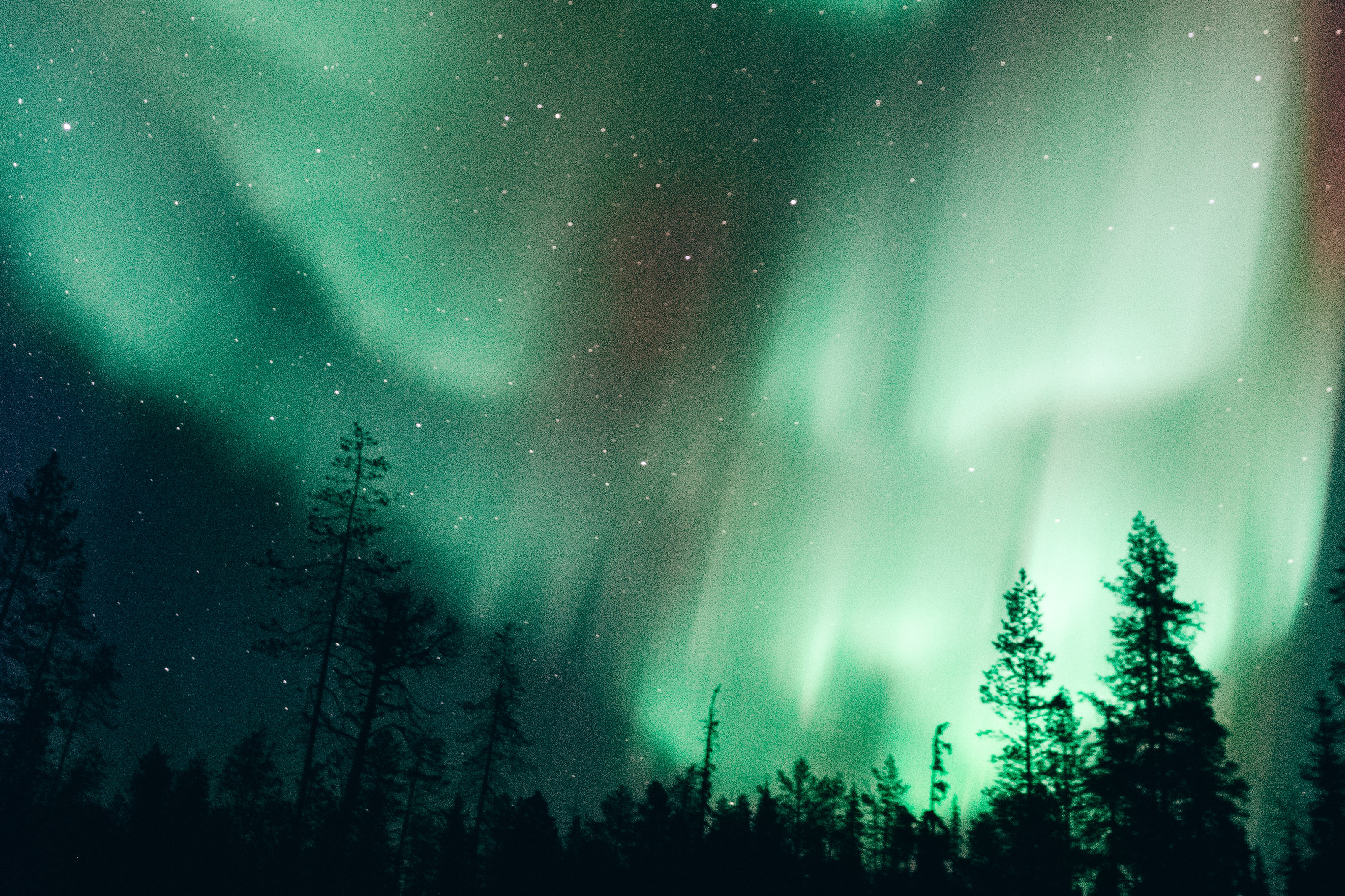 How to apply for a Finland student visa