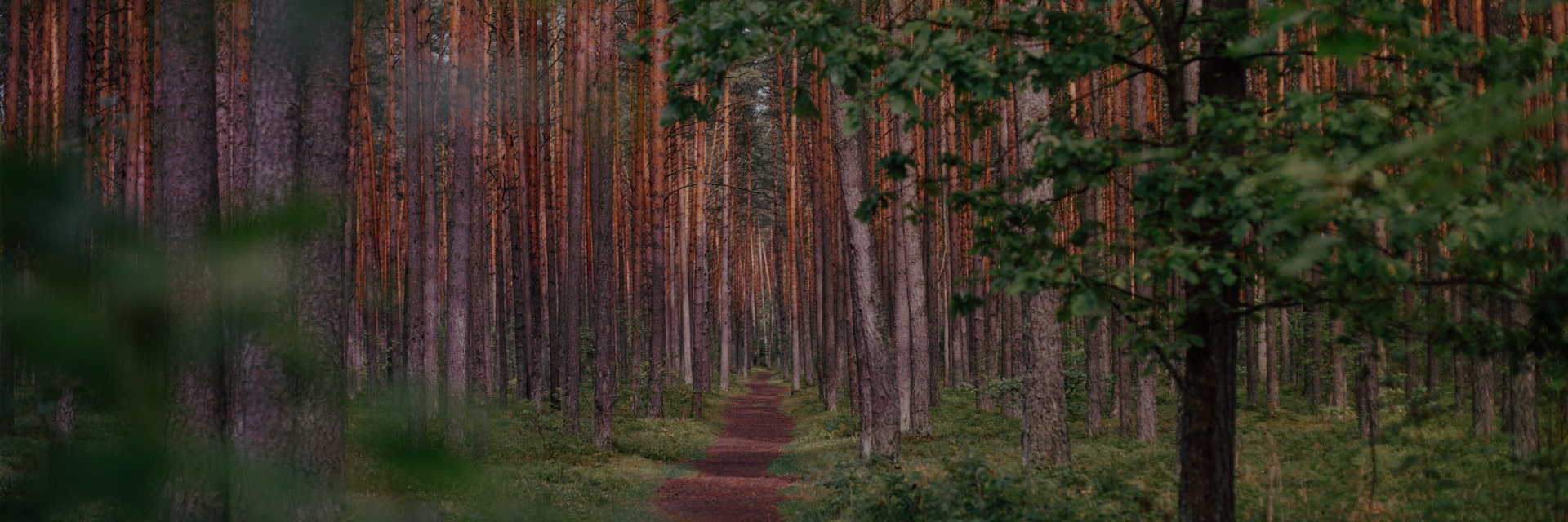 Lithuania Student Visa Process Costs