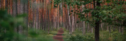 How to apply for a Lithuania student visa