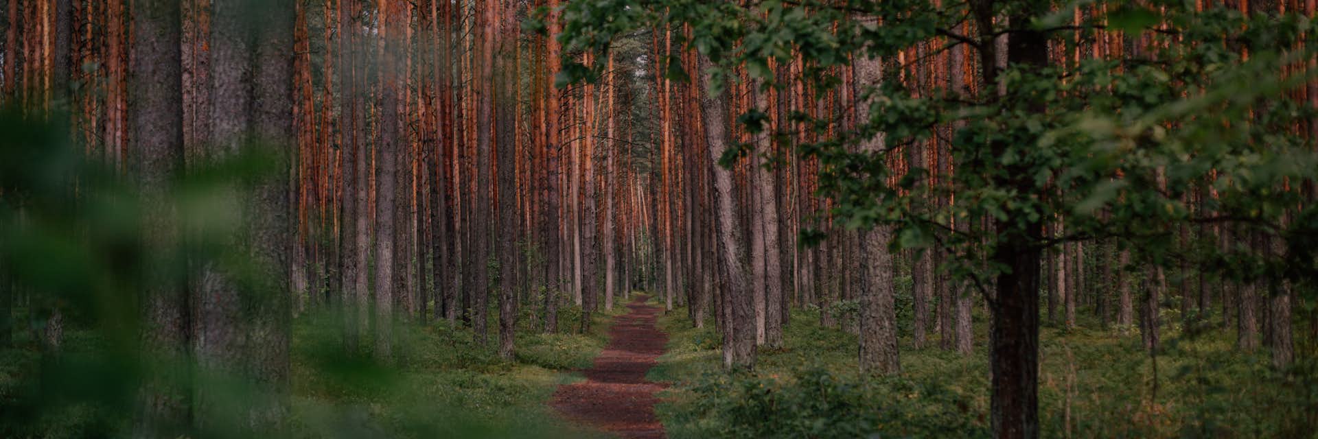 Lithuania Student Visa Process Costs lithuania-student-visa-process-costs