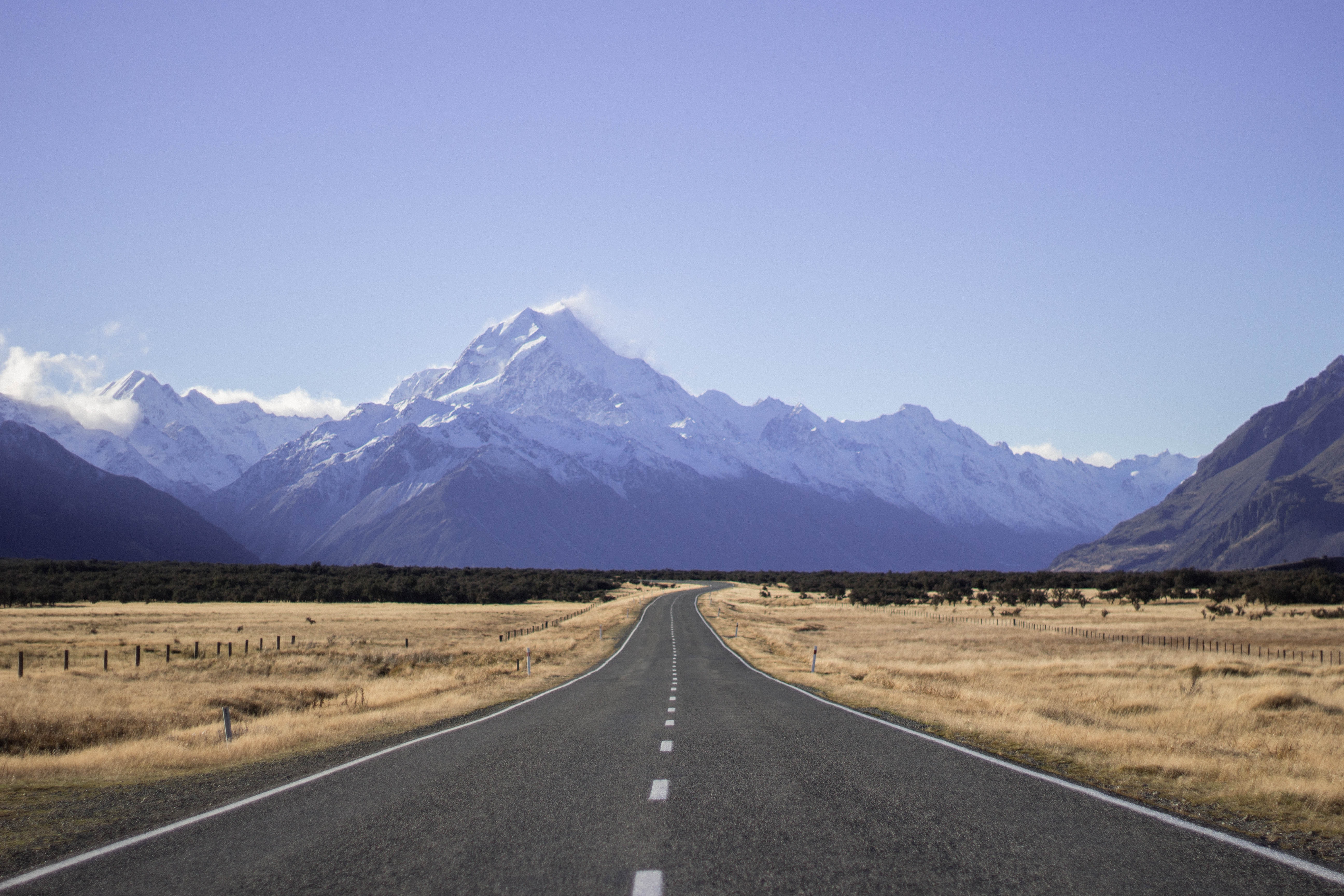 How to apply for a New Zealand student visa