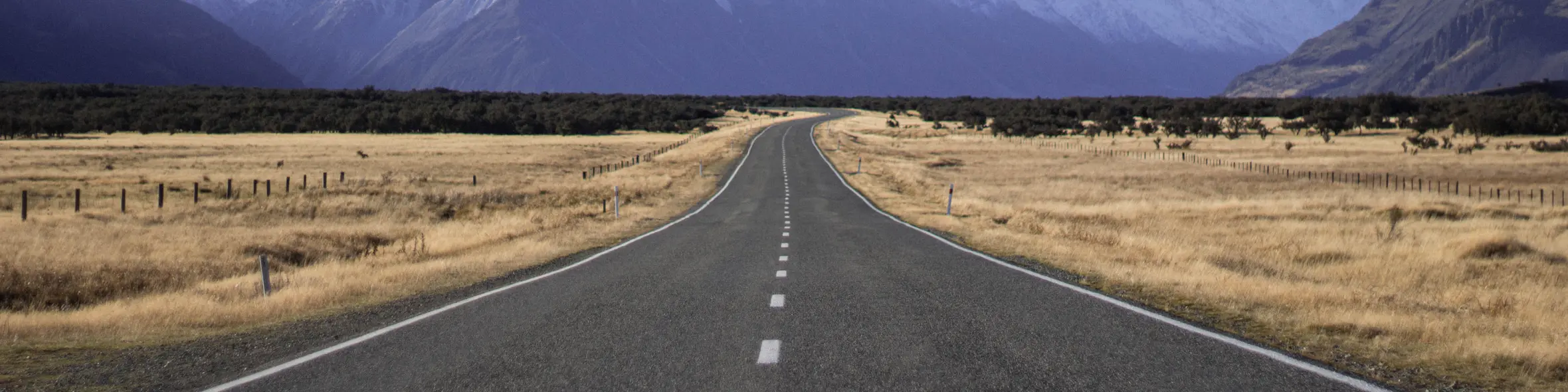 How to apply for a New Zealand student visa