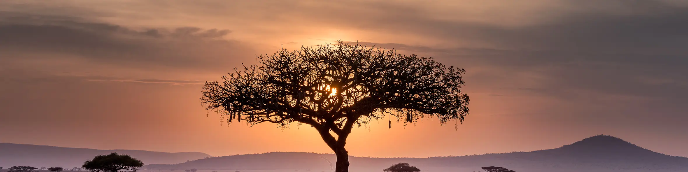 How to apply for a South Africa student visa