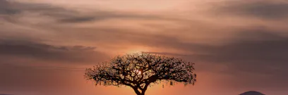 How to apply for a South Africa student visa