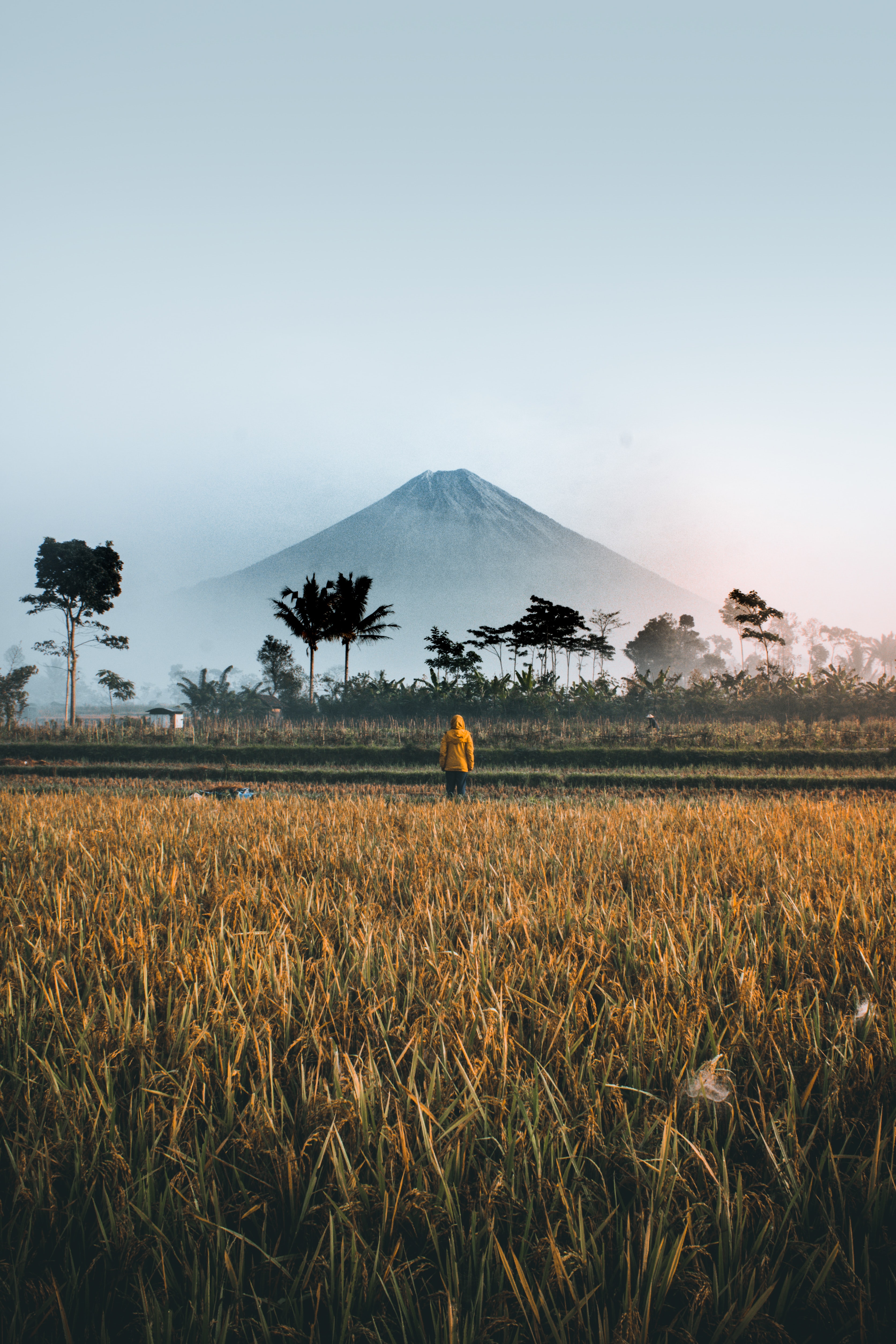 How to apply for an Indonesia student visa 