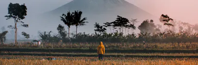 How to apply for an Indonesia student visa