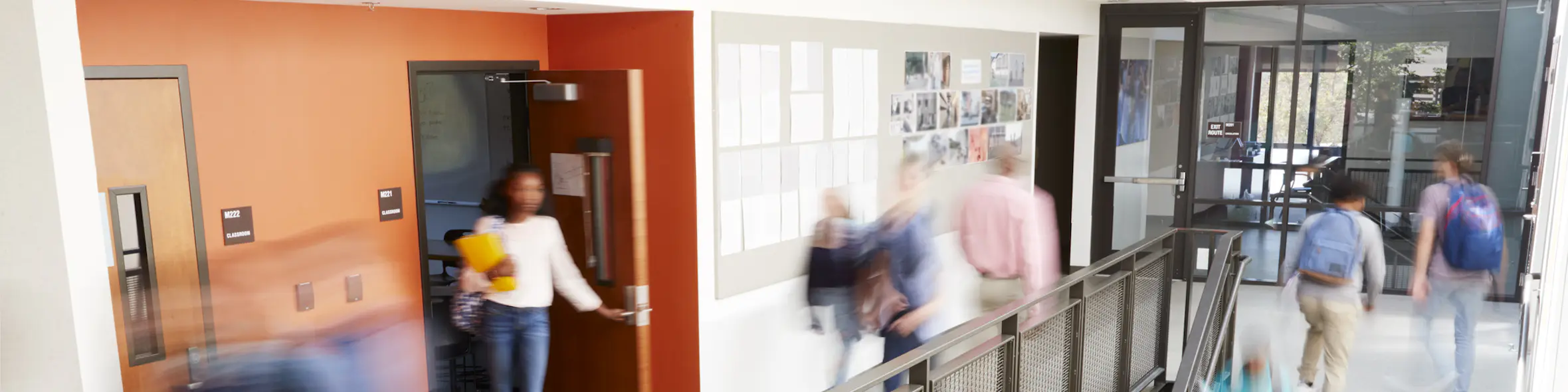 How to choose your ideal university abroad