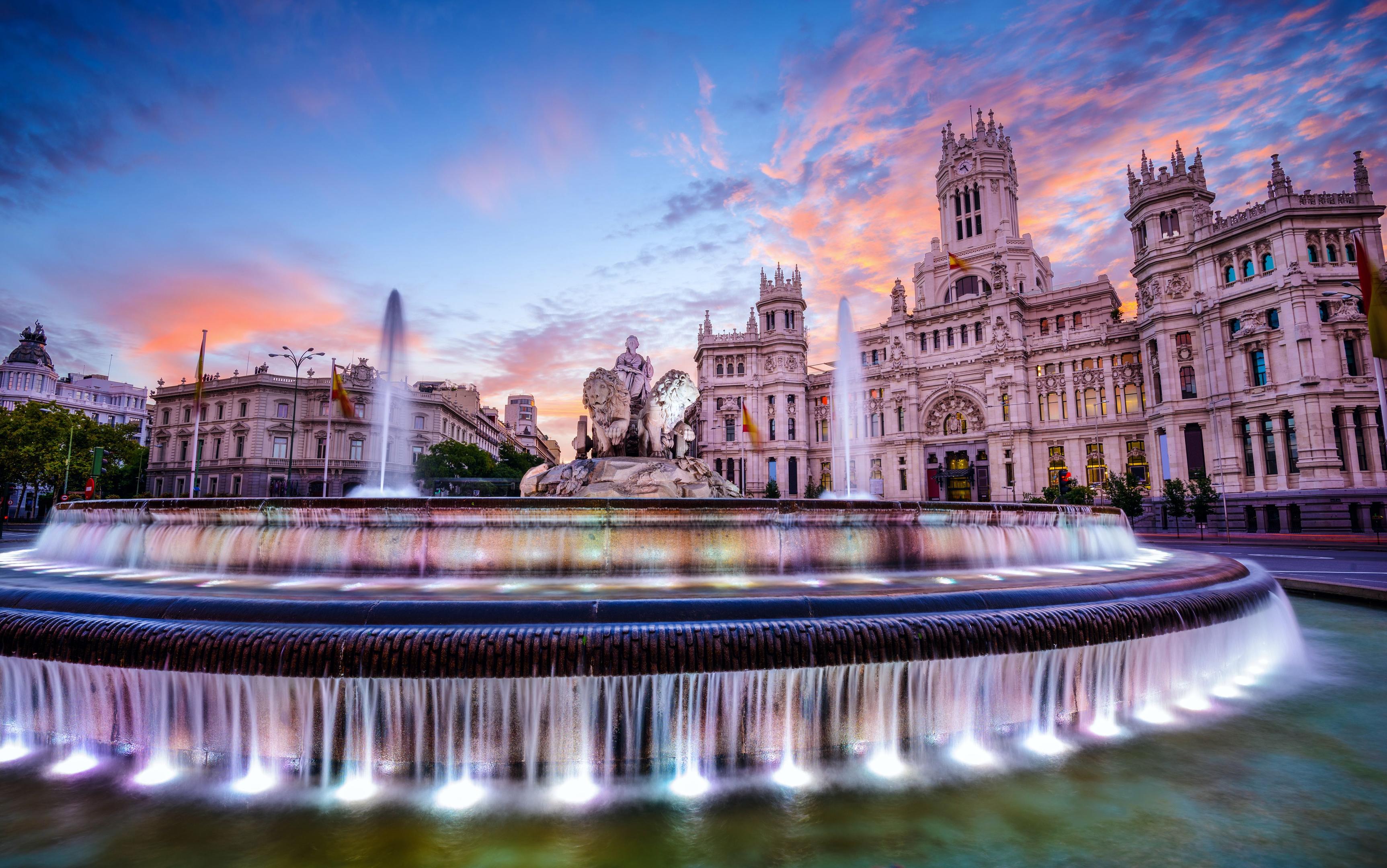Number of international students at Spanish universities to halve