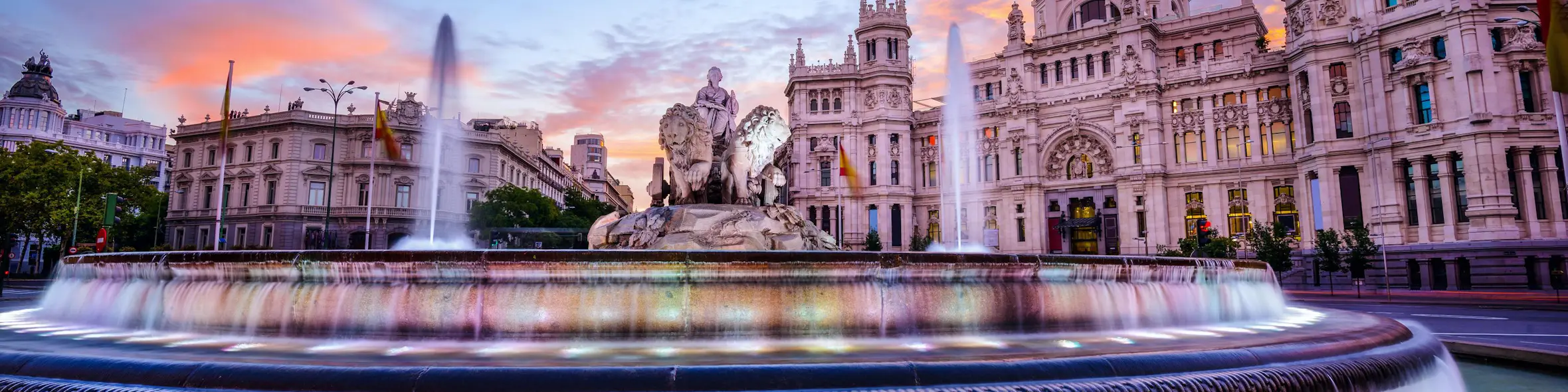 Number of international students at Spanish universities to halve