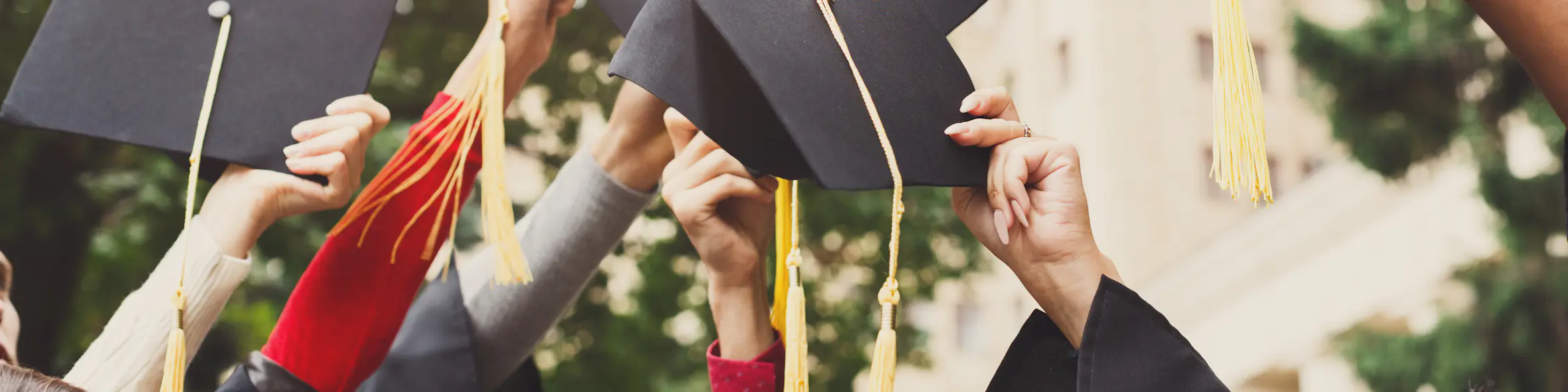 Types of undergraduate degrees