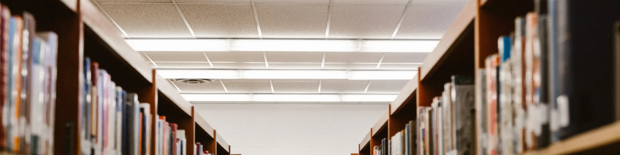 Ways to keep learning after studying abroad