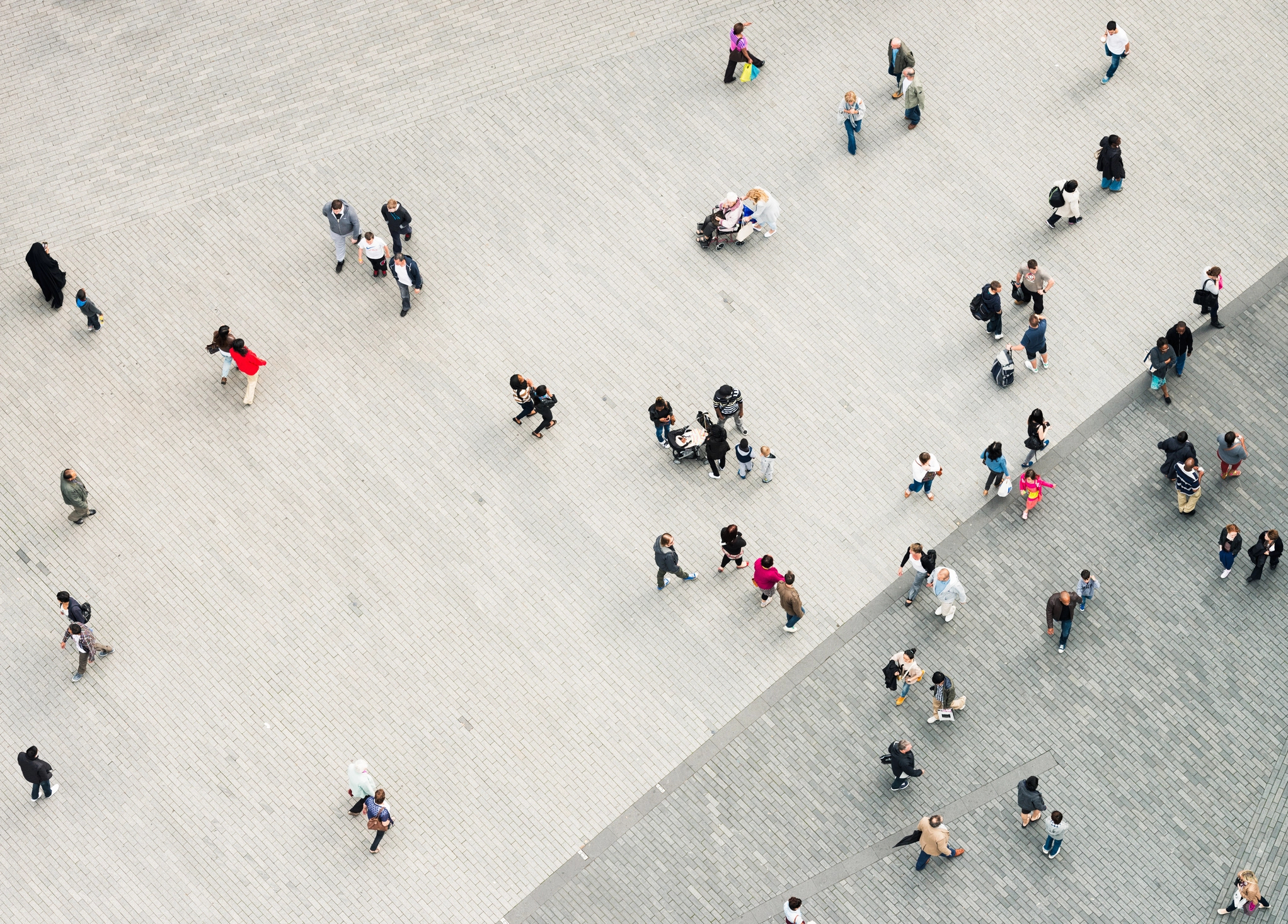 Which are the best universities in the world?