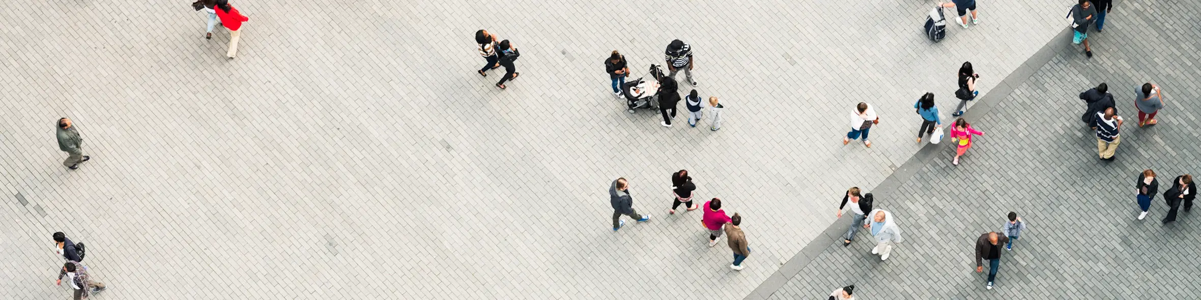 Which are the best universities in the world?