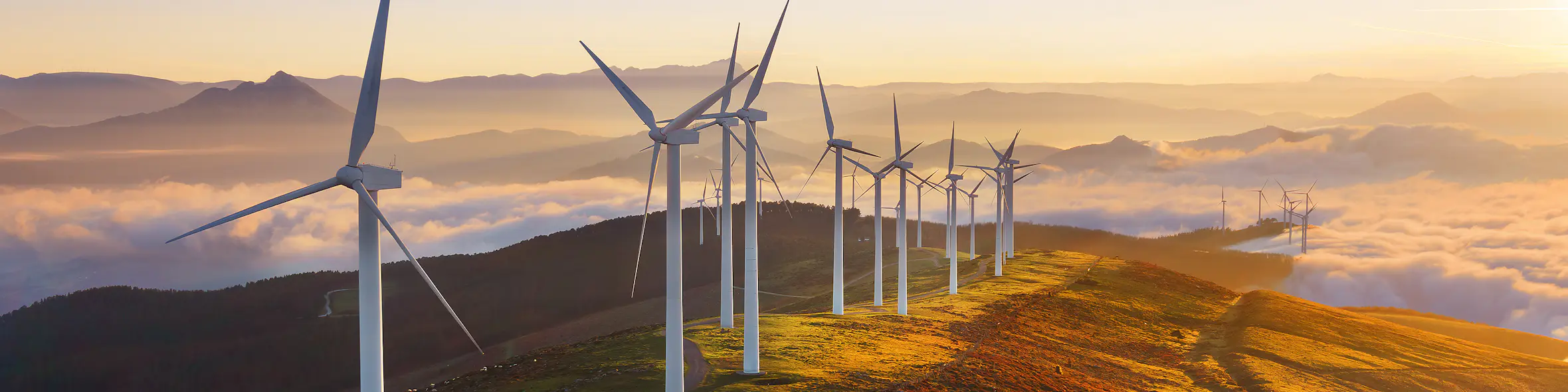 Image reflecting the subject area of Environmental & Earth Sciences, relating to the program.