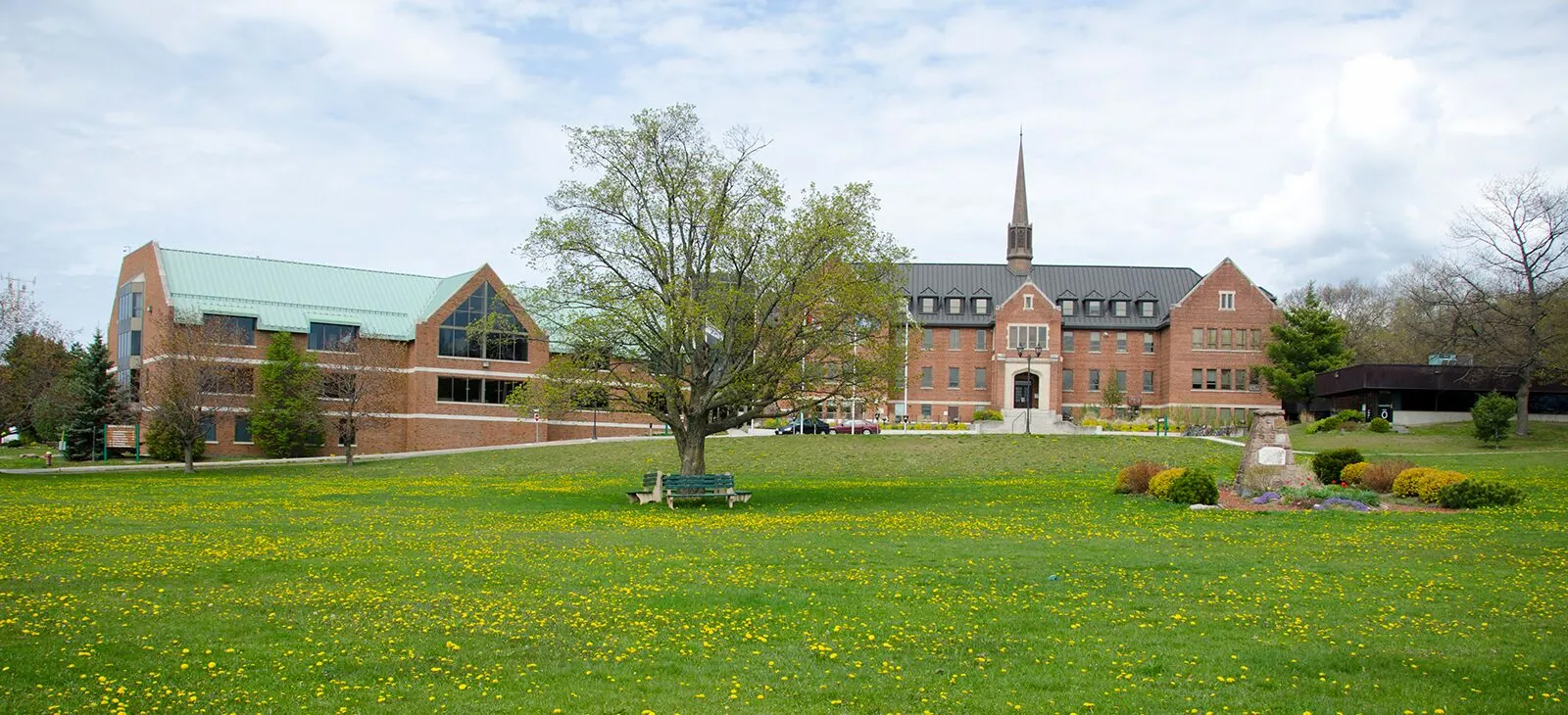 Algoma University campus view
