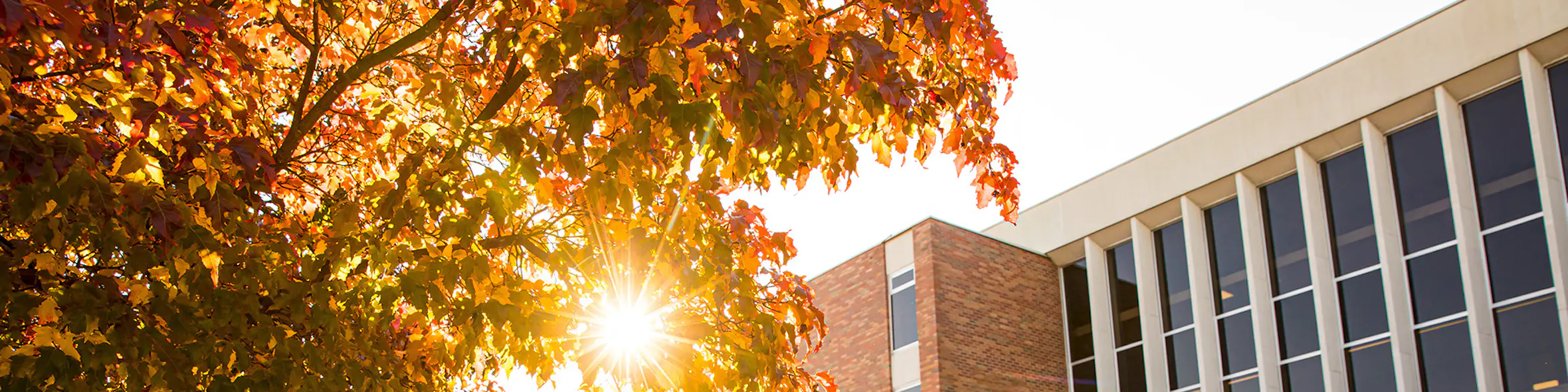 Alma College campus view