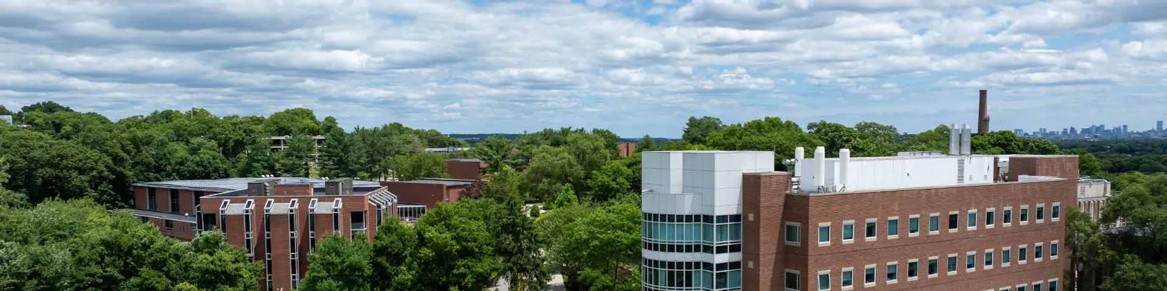 Brandeis University campus view