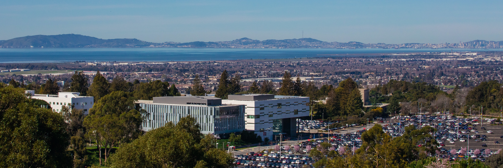 California State University, East Bay campus view