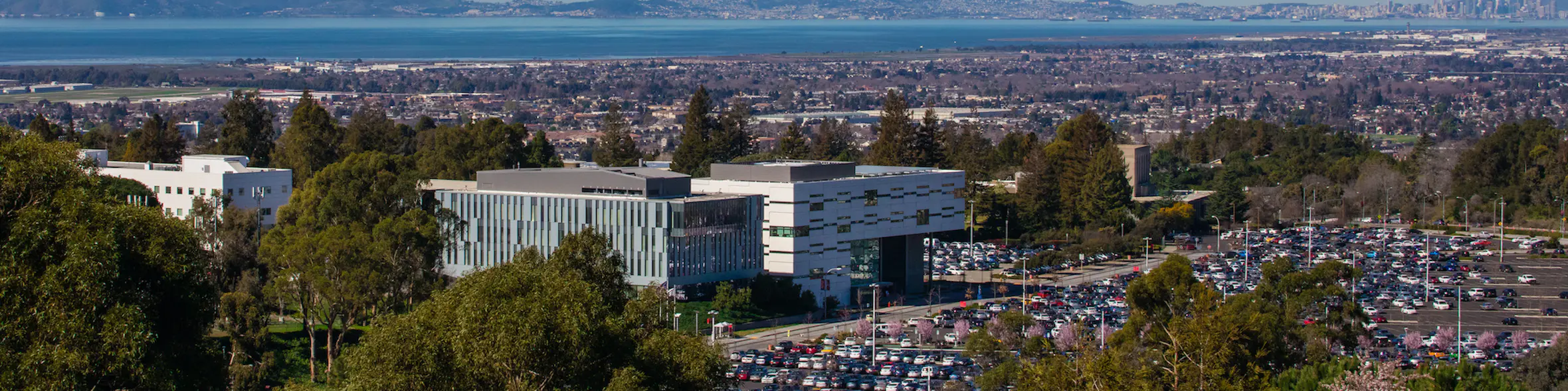 California State University, East Bay campus view