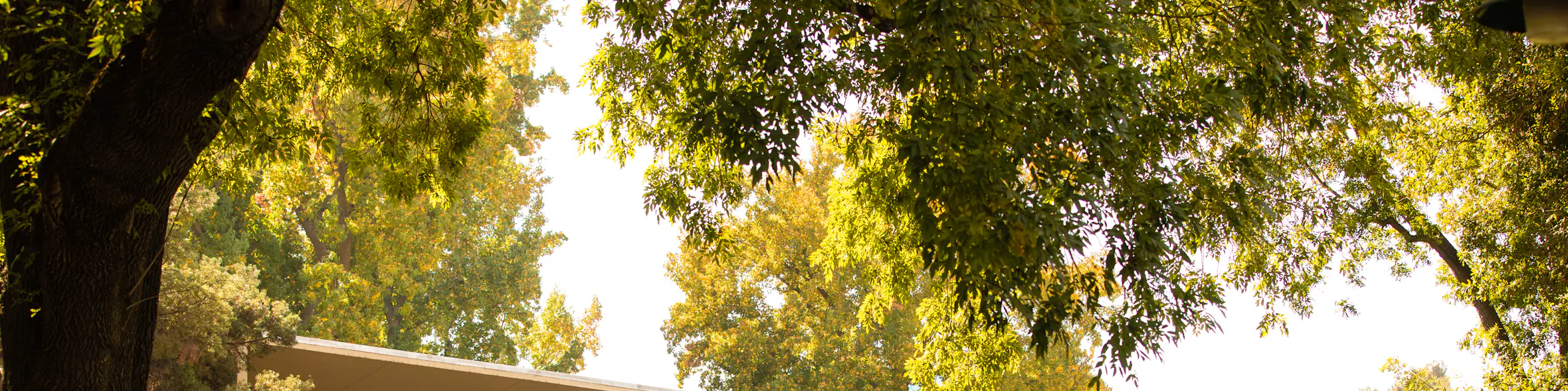 California State University, Sacramento campus view