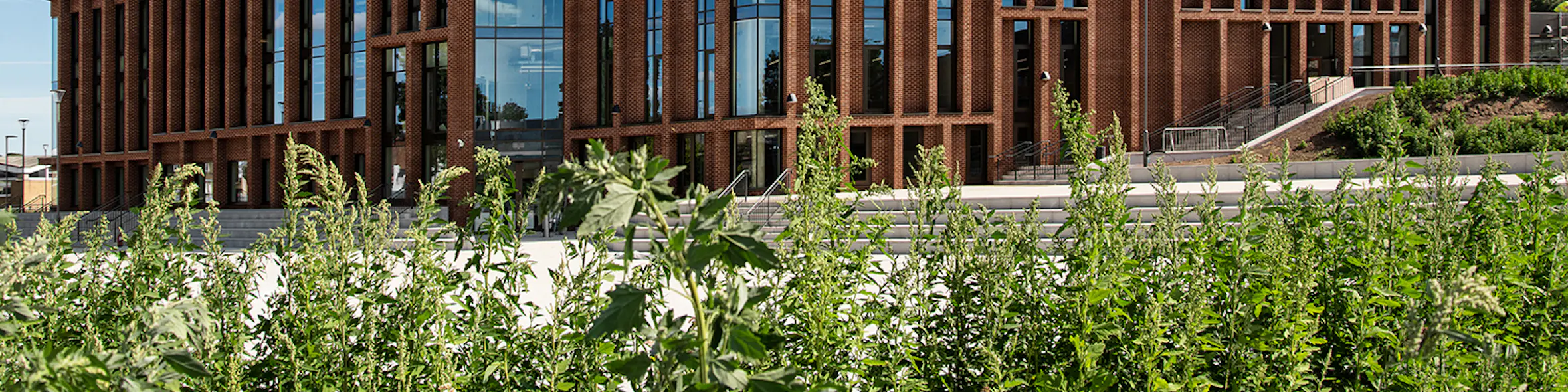 Canterbury Christ Church University campus view
