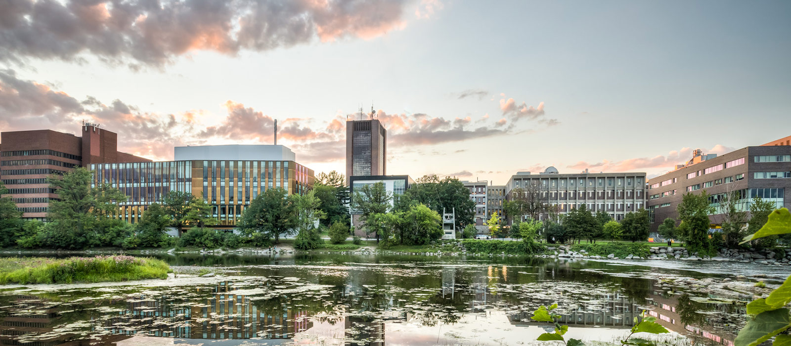 Carleton University campus view