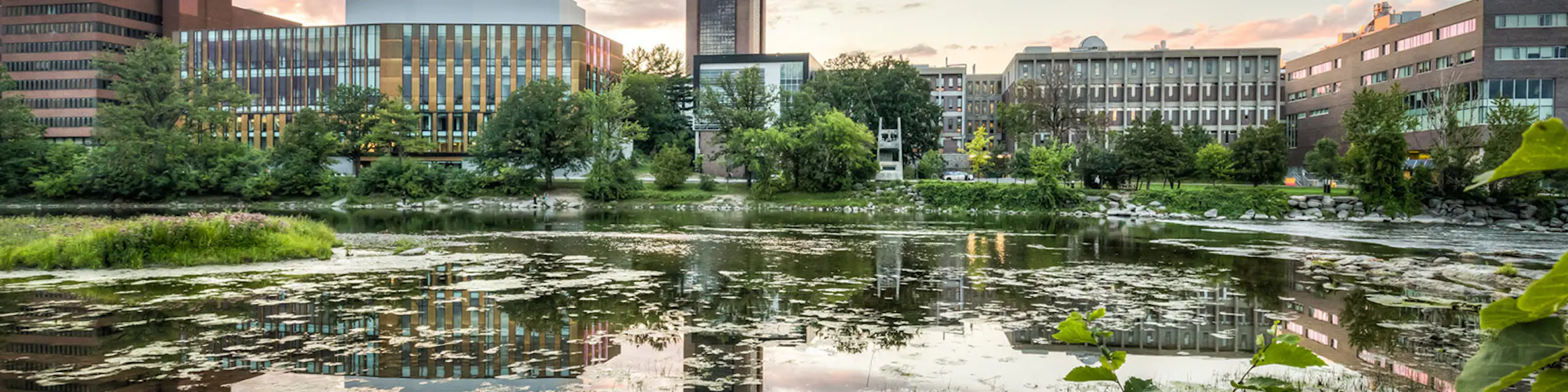 Carleton University campus view