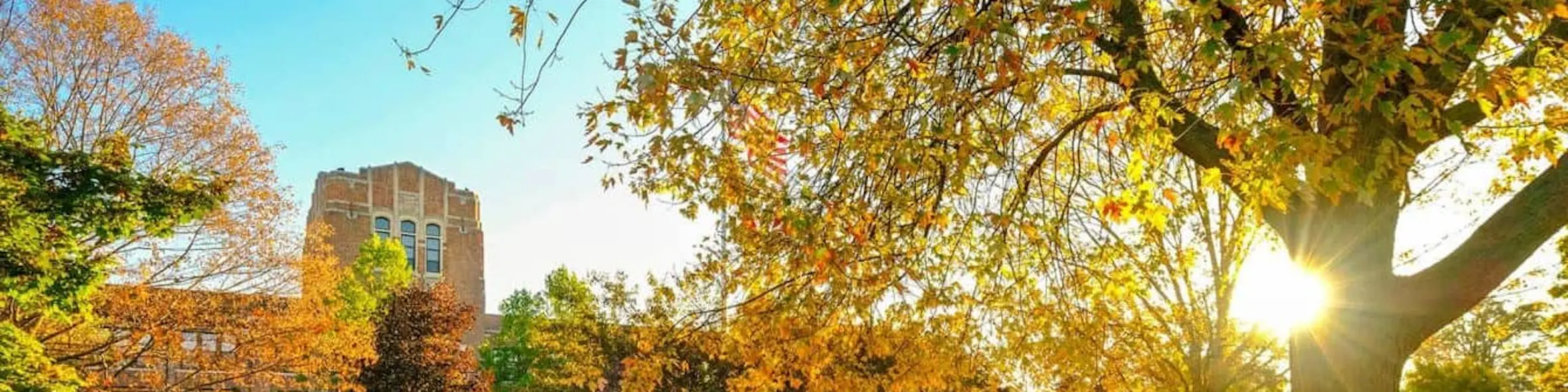 Central Michigan University campus view