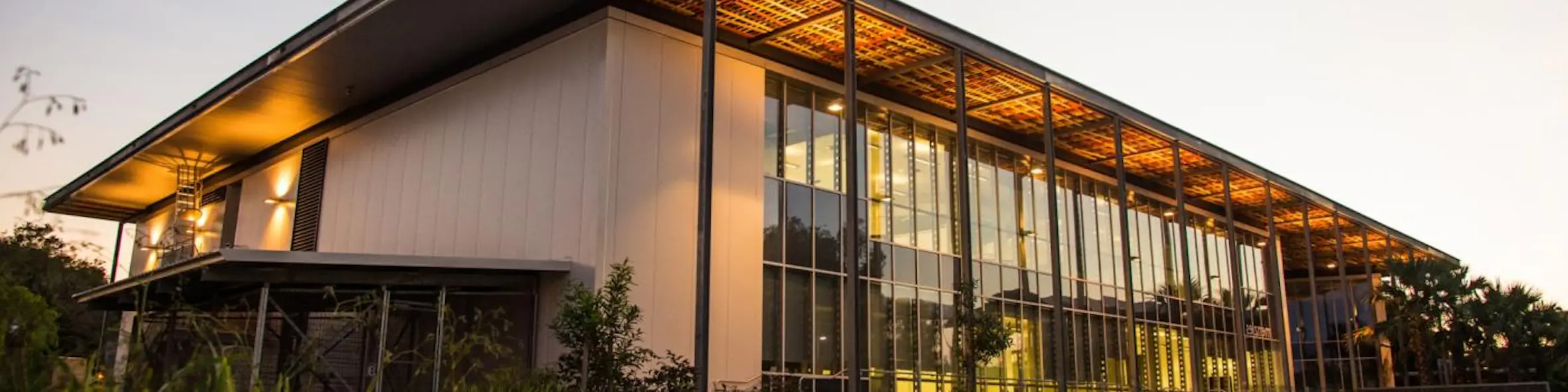 Charles Darwin University campus view