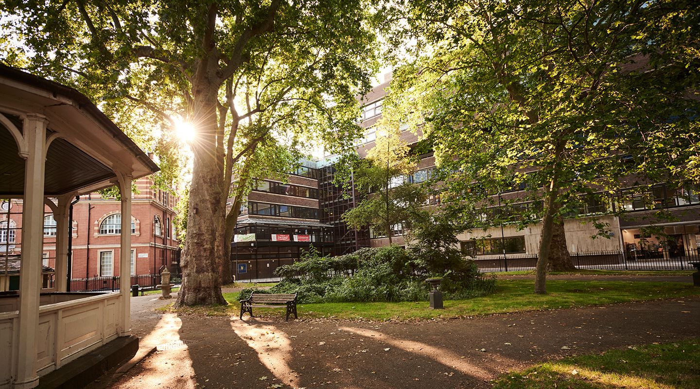 City St George’s, University of London campus view