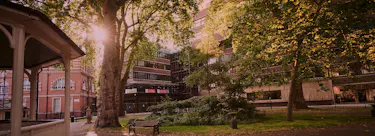 City St George’s, University of London campus view