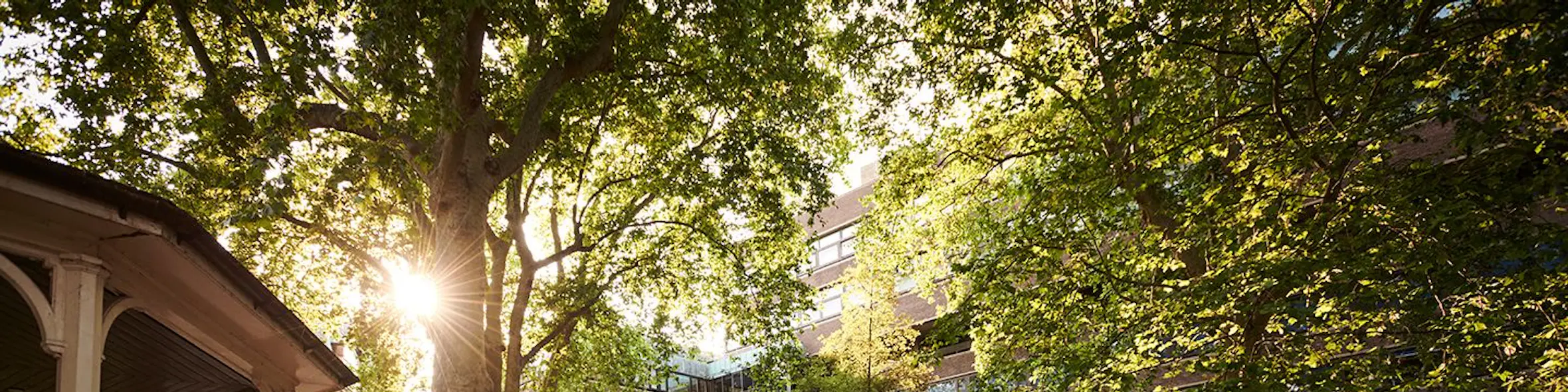 City St George’s, University of London campus view