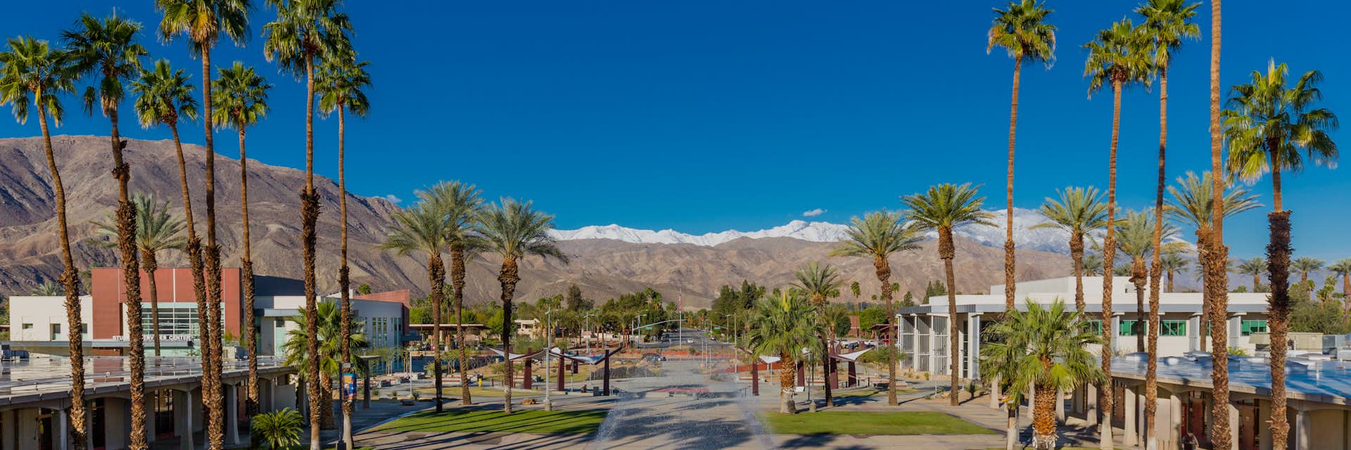 Study Abroad at College of the Desert, USA InDepth Guide & Apply Help