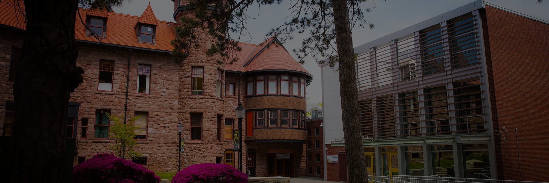 Study Abroad at Felician University USA In Depth Guide Apply Help Study Abroad at Felician University USA In Depth Guide Apply Help