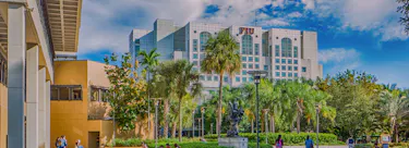 Florida International University campus view