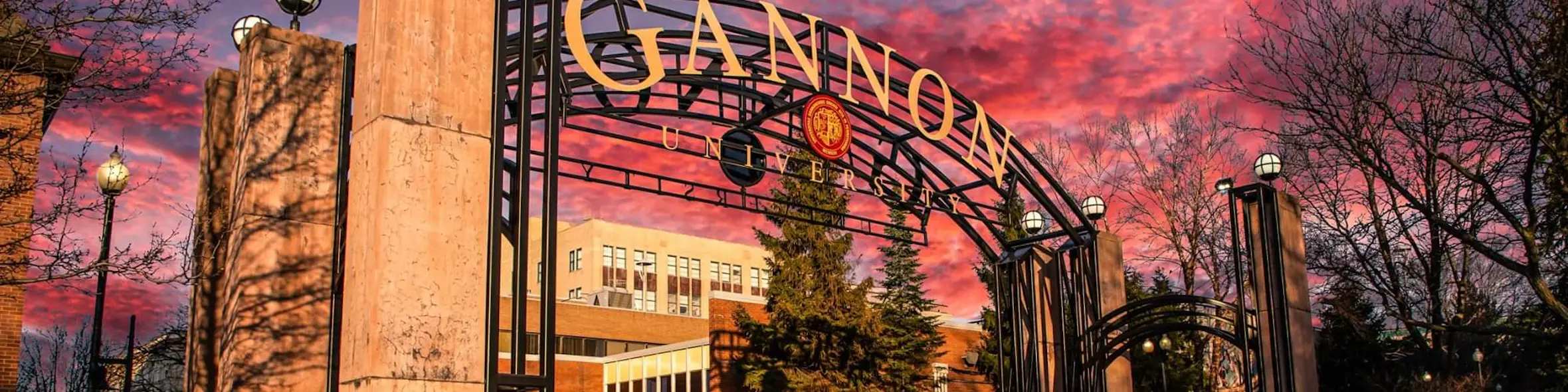 Gannon University campus view