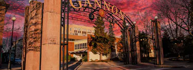 Gannon University campus view