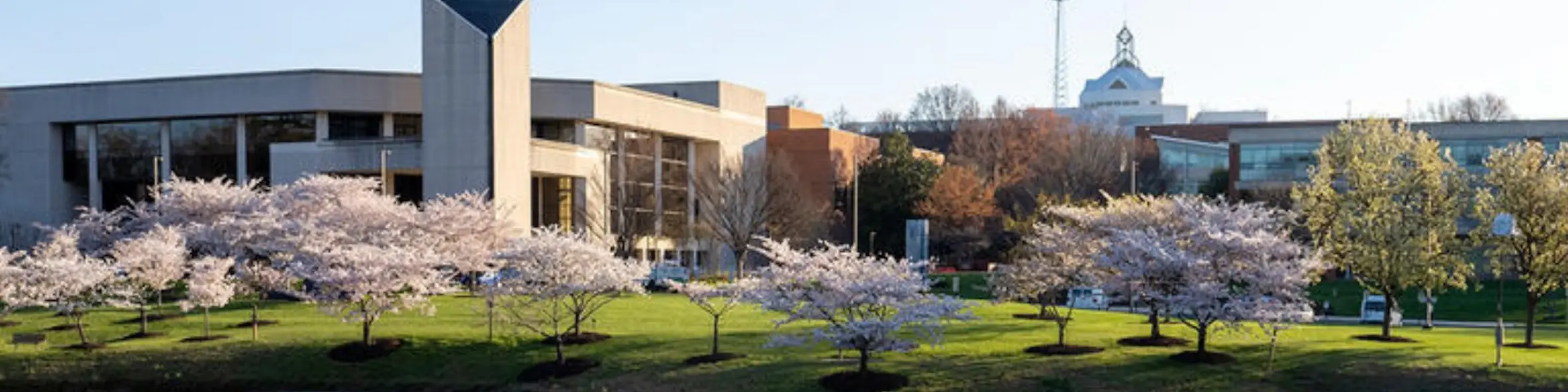 George Mason University campus view