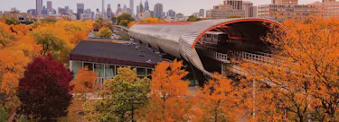 Illinois Institute of Technology campus view