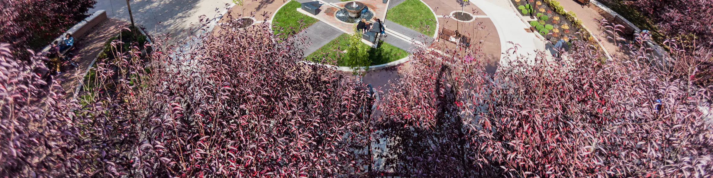 Indiana Wesleyan University campus view
