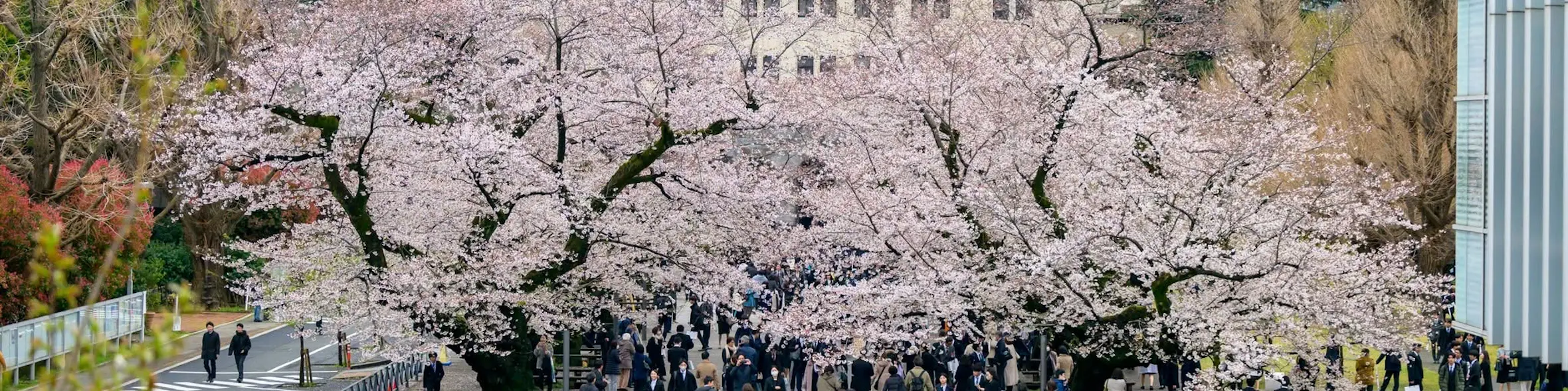 Institute of Science Tokyo campus view
