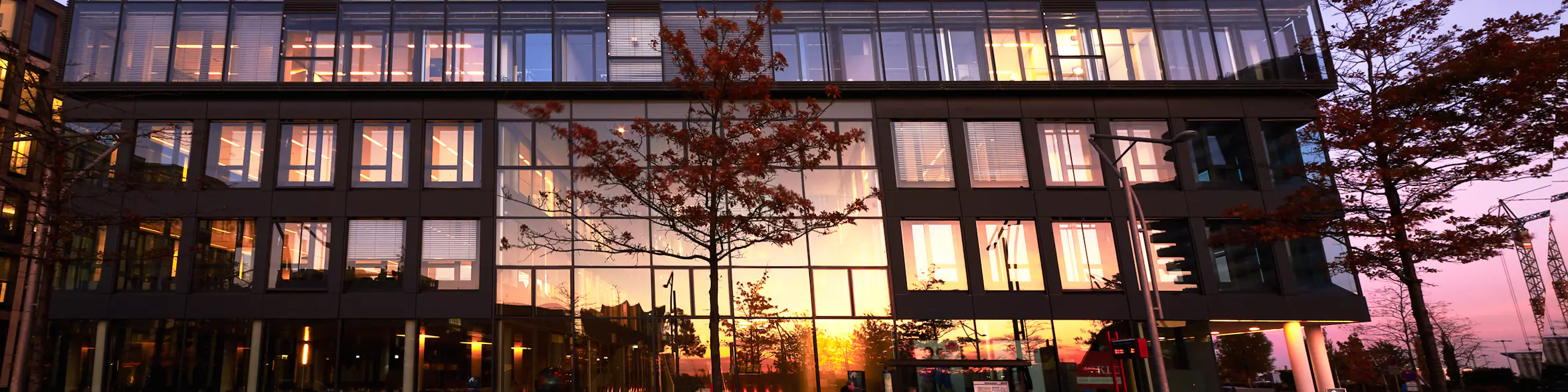 Kühne Logistics University campus view